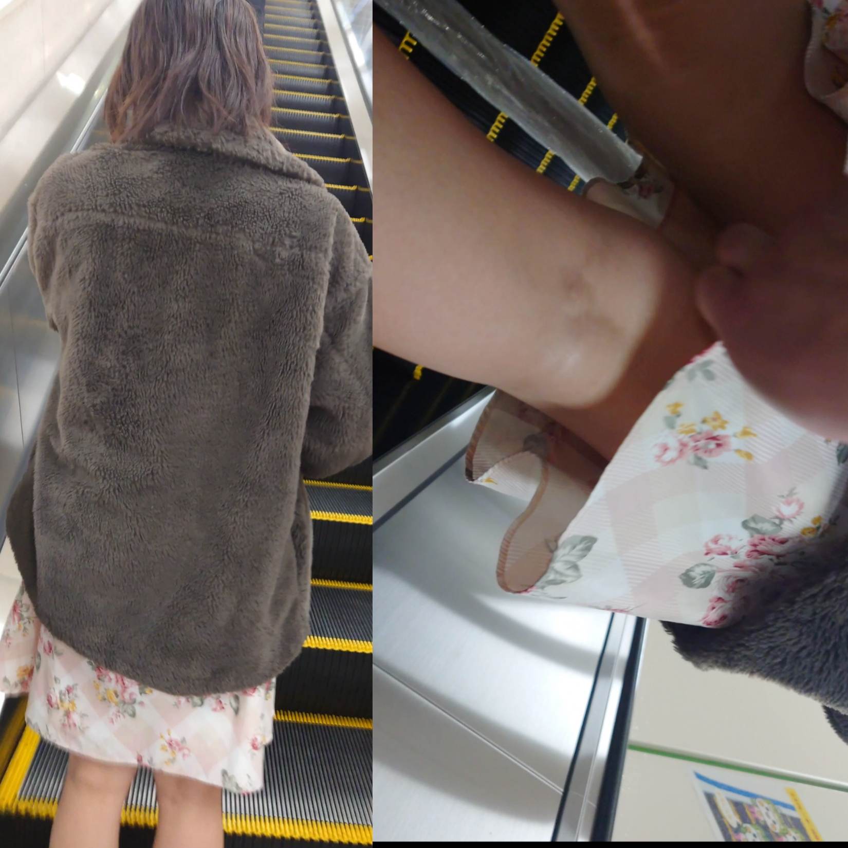 5名捲りセット