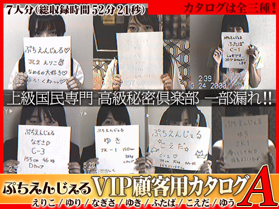 【7本セット】ぷちえんじぇる顧客用ファイル7人分【カタログA】