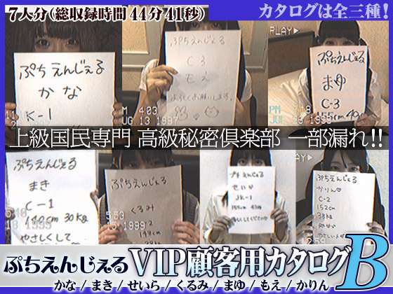 【7本セット】ぷちえんじぇる顧客用ファイル7人分【カタログB】