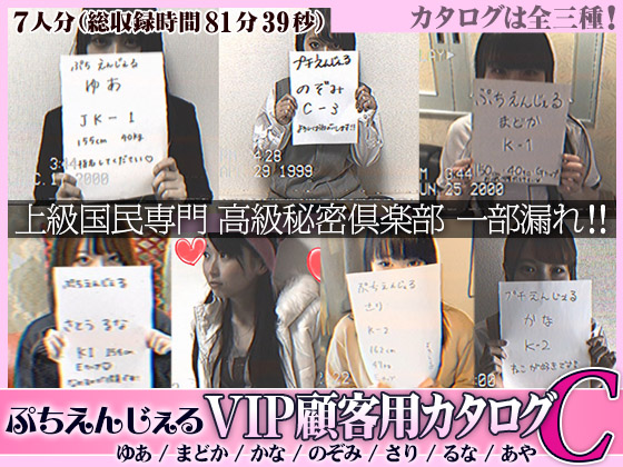 【7本セット】ぷちえんじぇる顧客用ファイル7人分【カタログC】