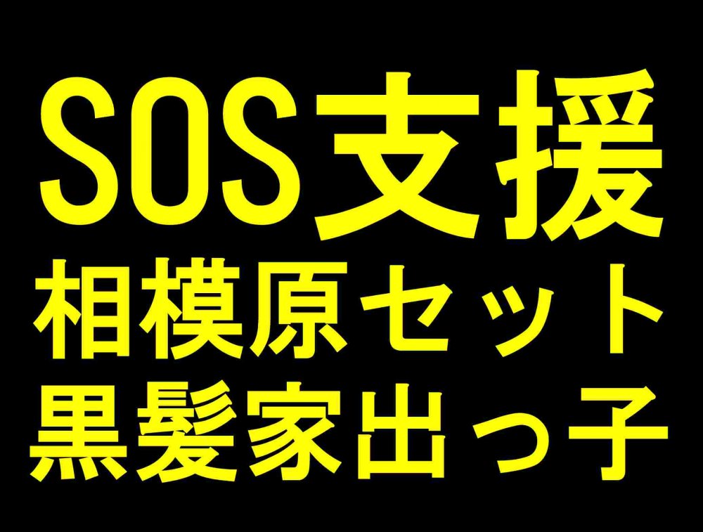 PALPIS 【相模原さぽ4本セット】家出掲示板で拾った黒髪ゆき、春休みの編【SOS援-04の子】 86820