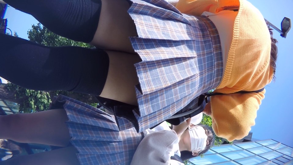 スカートの中のブルマ 動画 