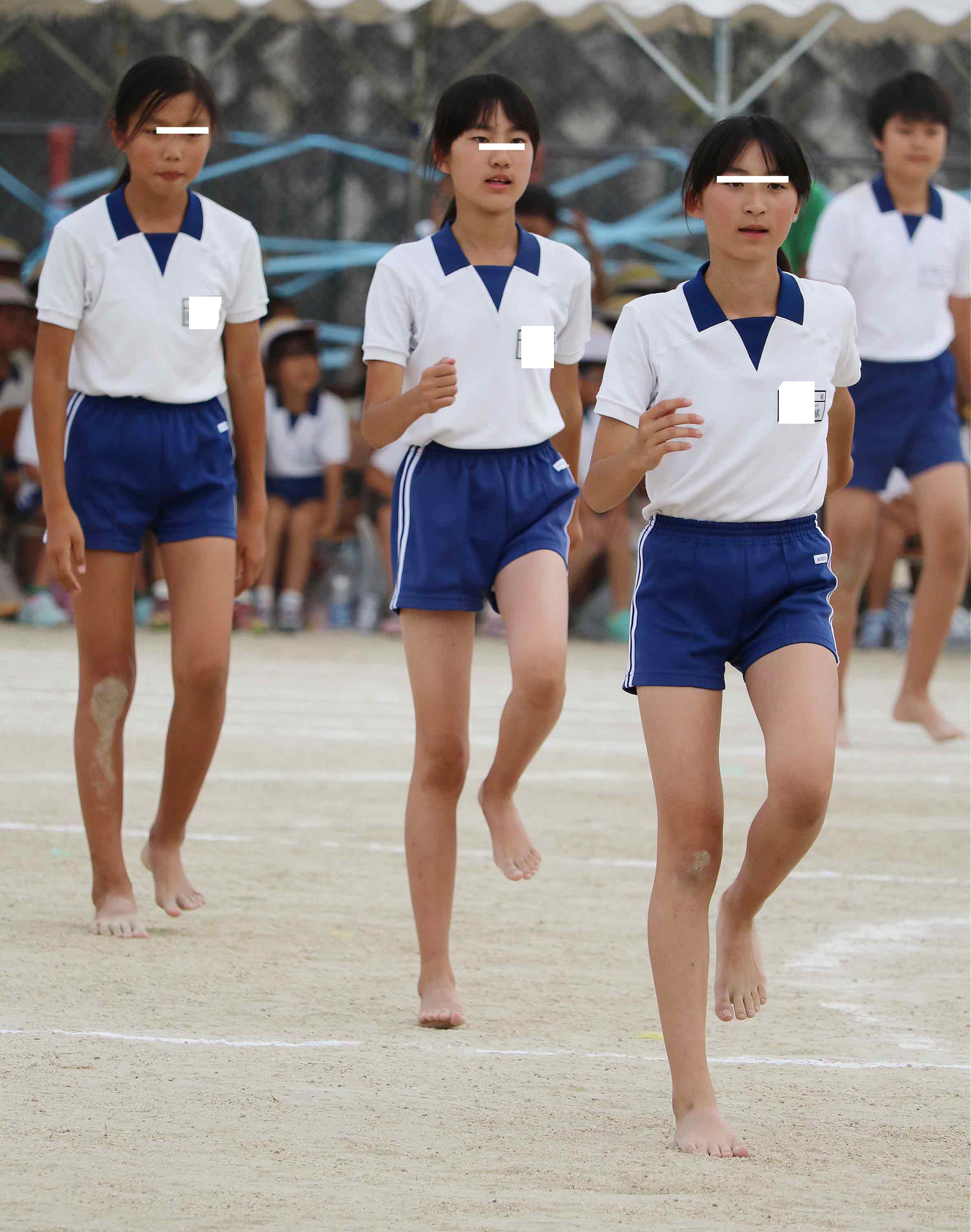 PALPIS PPV 77954 短パン運動会　885