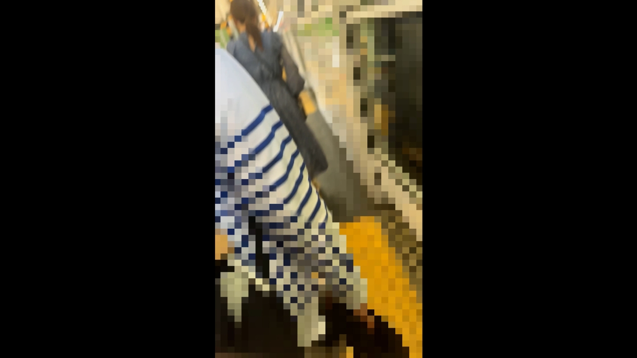 [乗車記録186]清楚系ポニーテール個体。お澄ましマスク美人の本能解放アーカイブ