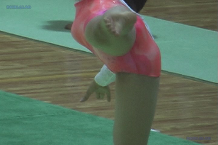 じむなすとjg355