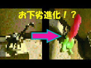 ♡お下劣種付け中出し玩具交尾♡トイinザpussy♡