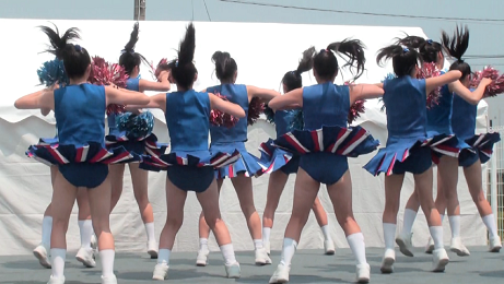 PALPIS PPV 88290 MBT-W530 チアダンス’14(15)・チアリーディング’14(2) PALPIS PPV 88290 MBT-W530 チアダンス’14(15)・チアリーディング’14(2)