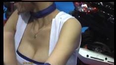 4600「キャンちゃん私家盤コレクション（16）」