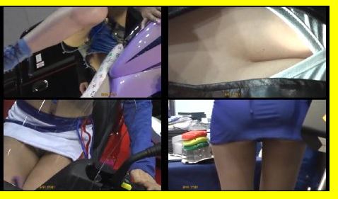 4600「キャンちゃん私家盤コレクション(16)」