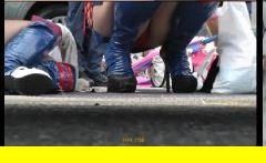 PALPIS 4350「クィンちゃん私家盤コレクション(6)」 88007