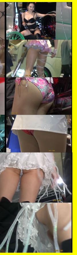 4954「キャンちゃんがくれた秘境大冒険(98)」