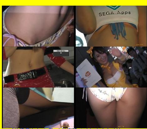 4536「キャンちゃん私家盤コレクション(8)」