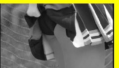 6065「キューティーチアガール発熱カルテ(103)」