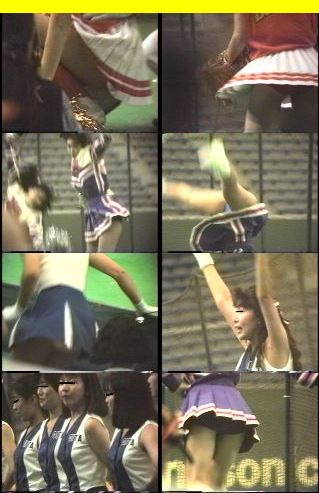 2559「チアーでいこう（13）」