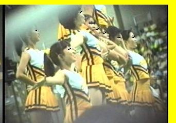 2931「チアーでいこう（28）」