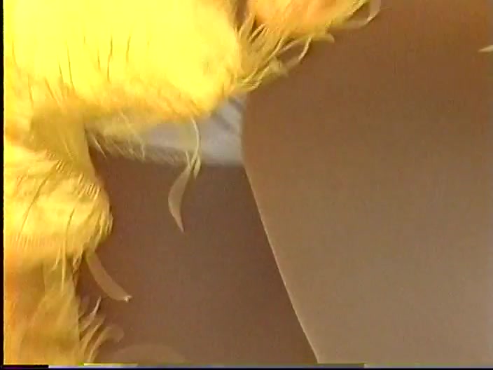 1304 アンチラ・パンチラ血風録(41)パレード編8