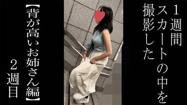【5日間連続で逆さ撮り】2回目の撮影。意外にも巨乳の持ち主だったお姉さんのスカートの中