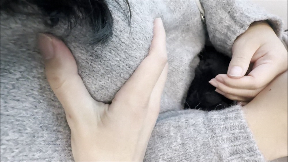 電車お触り40 ギュッと抱きしめたくなるくらい可愛い小動物系の美女。意外にも豊満なおっぱいをモミモミしまくりました。