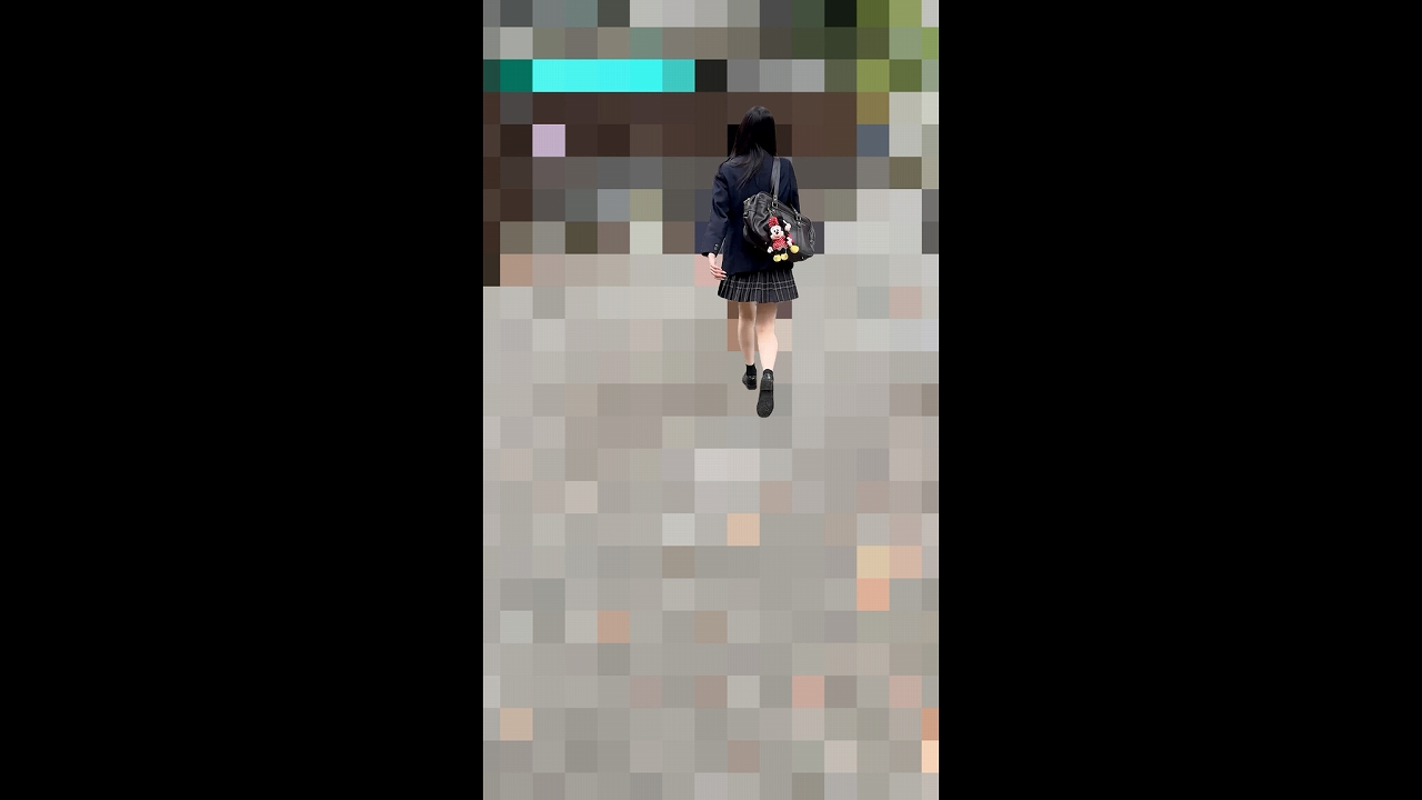 【完全期間限定】公衆トイレで正気を放棄。生中出しで剥奪される自尊心。