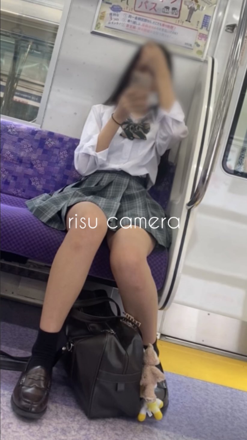 電車内対面鳥