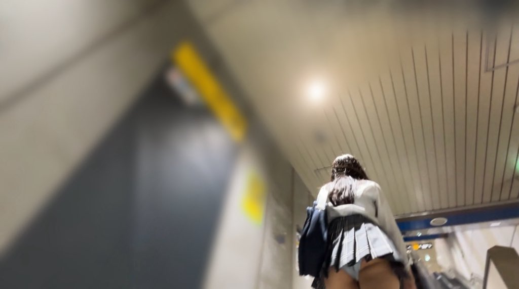 PALPIS PPV 85580 関東/某駅鳥 #11