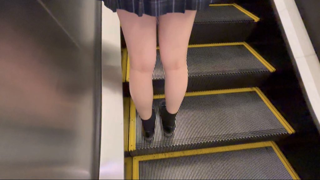 関東/某駅鳥 13