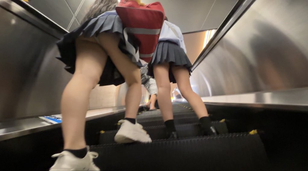 関東/某駅鳥 #16