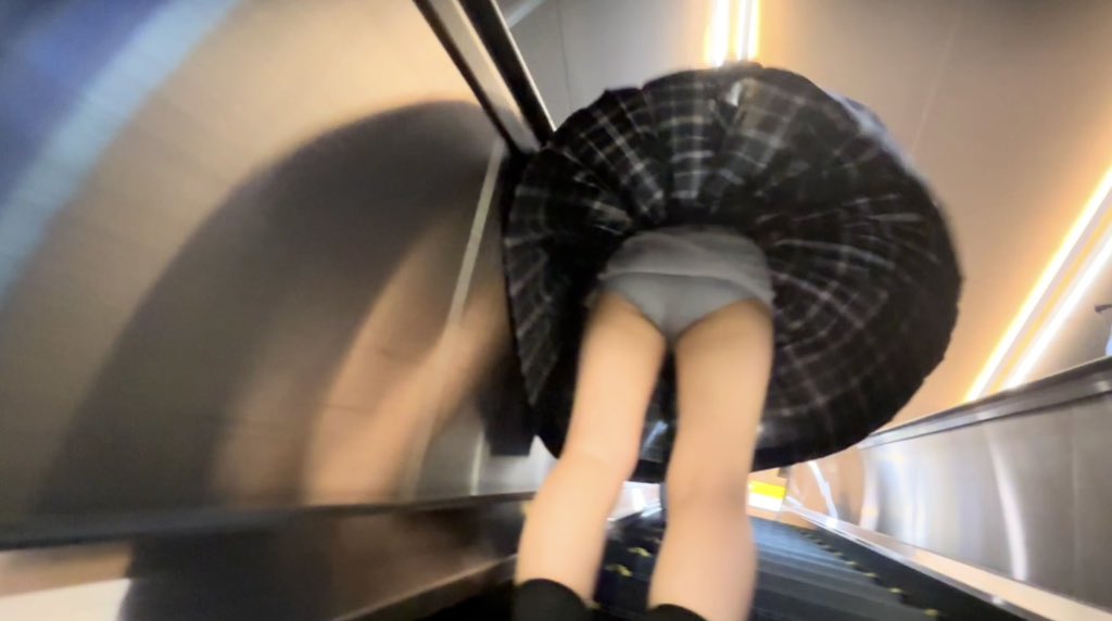 bird’s eye collect