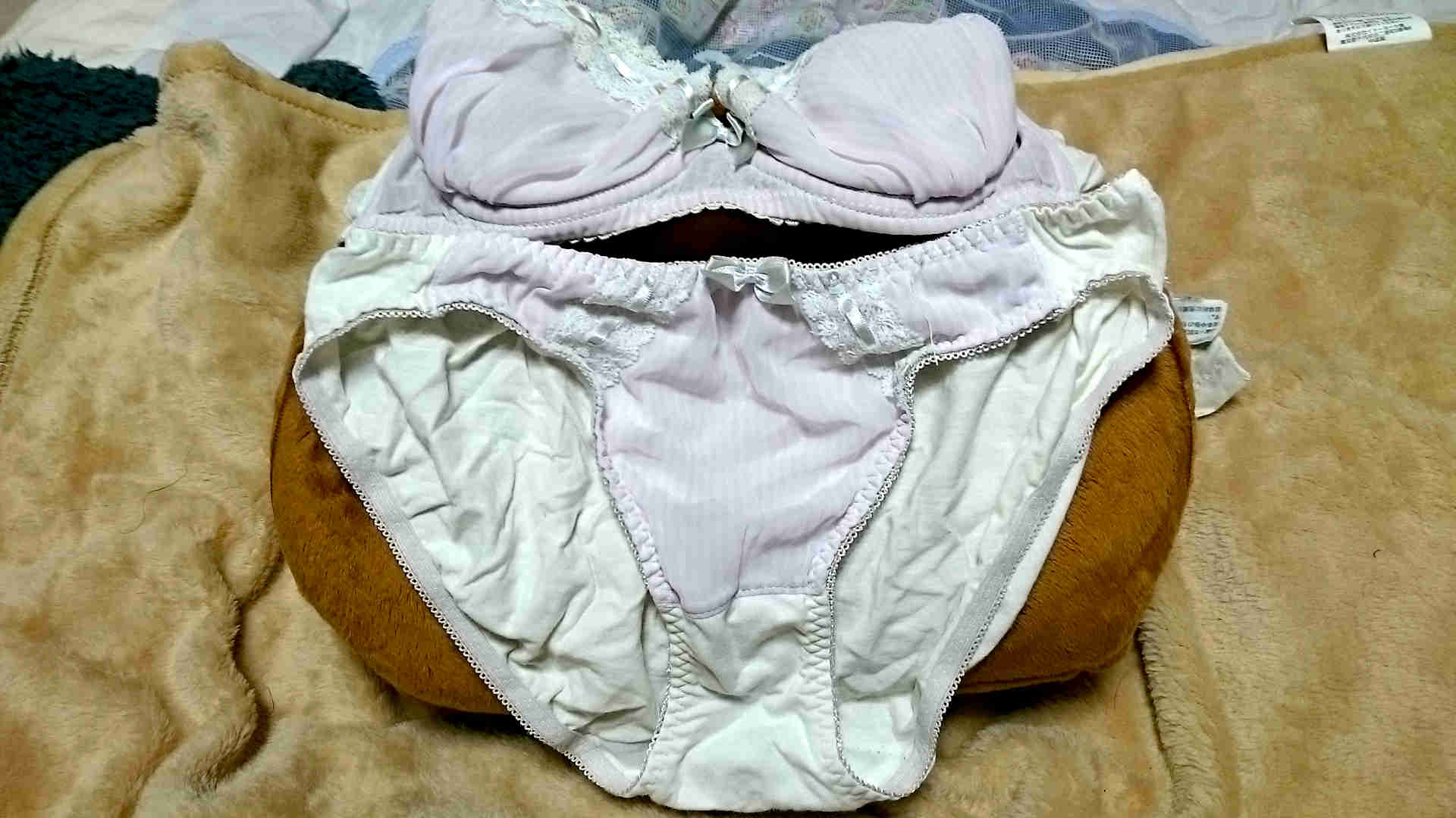 若い子たちのゴミの中身は 160-Mサイズ A70→B70 野口ちゃん