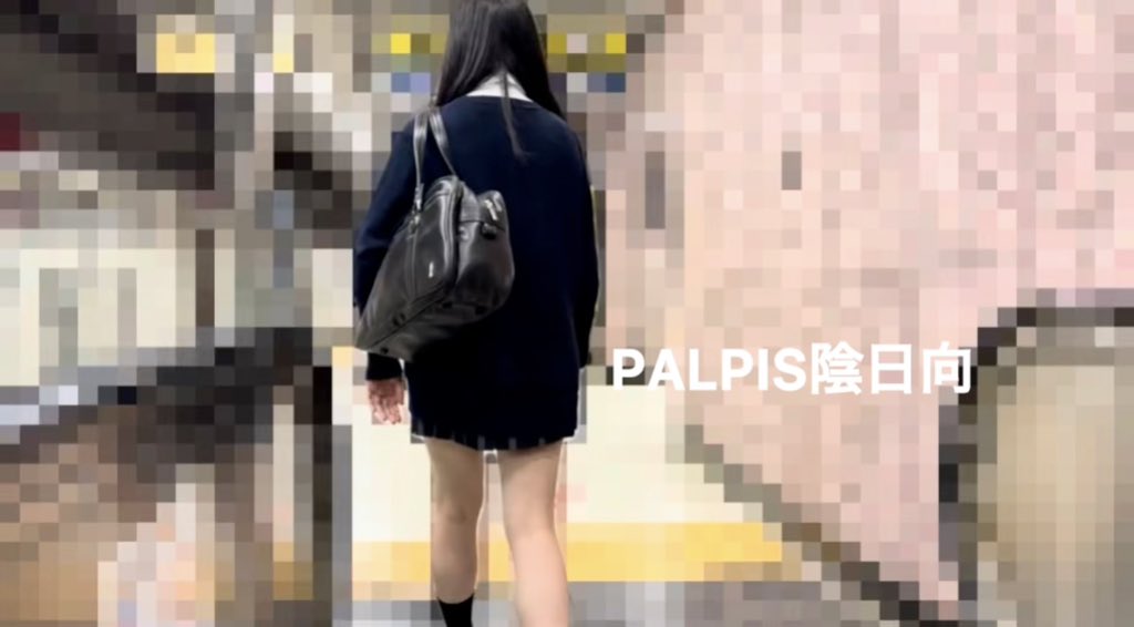 陰日向Vol.18 風のせいでダサい綿パンツが丸見えJK（逆さ撮り・ライトアップ・めくり）【５日分】