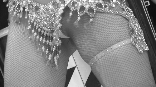 PALPIS サンバpart-2（期間限定販売3/7まで） 90284