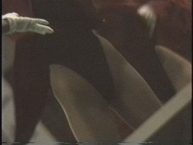 チアガールイベント kc85