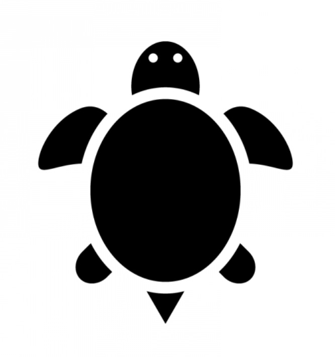 靴亀